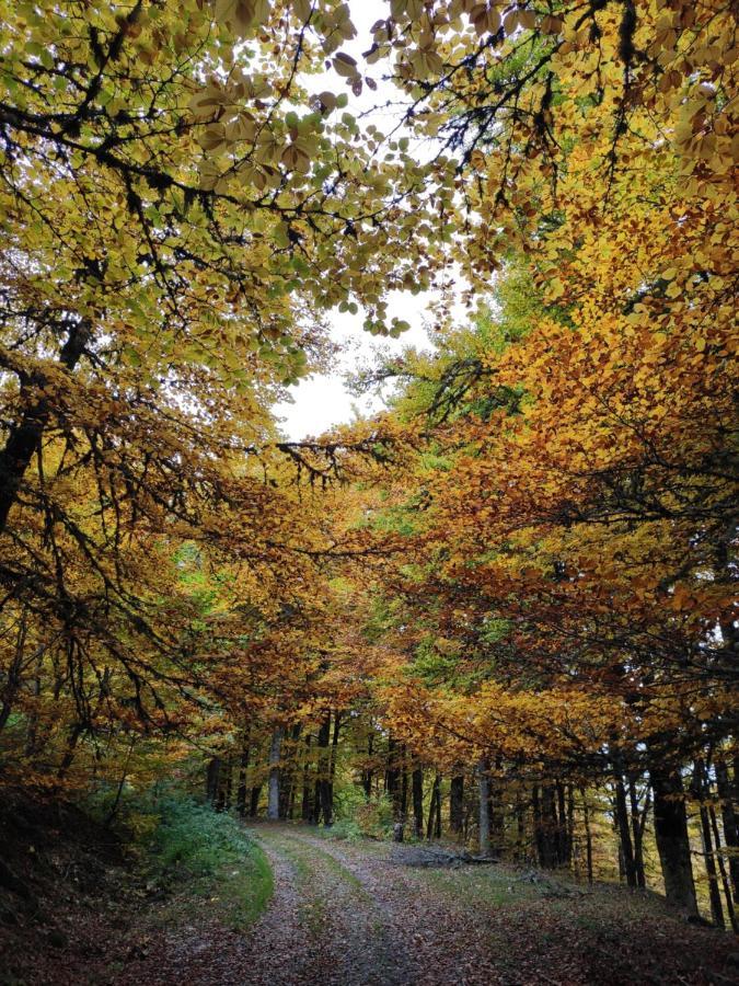 Prao Del Molin Lägenhet Cangas De Narcea Exteriör bild
